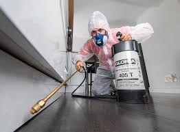 Best Fumigation Services  in Roosevelt, NY